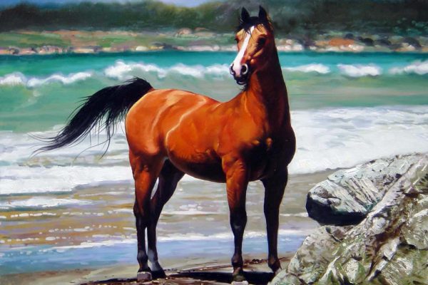 Horse by the Sea