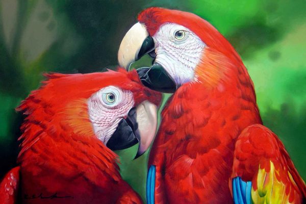 Scarlet Macaws