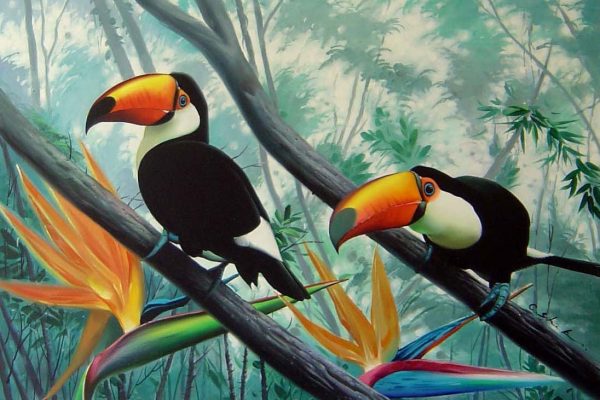 Toucans
